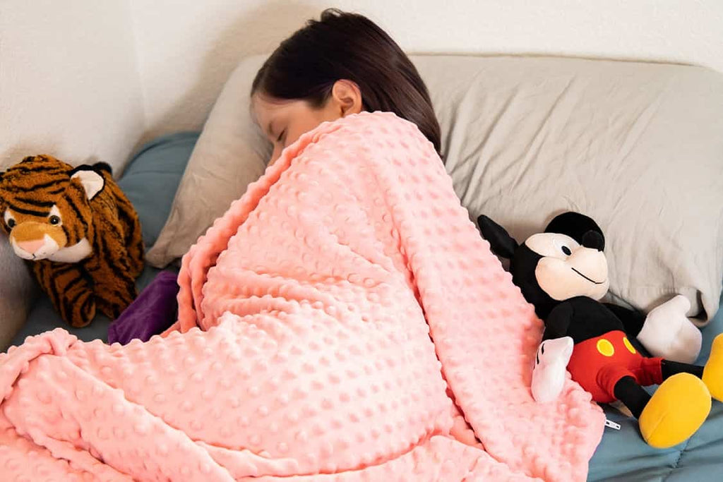 Weighted Blanket w/ Cover for Kids