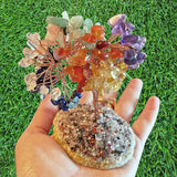 Aviano Chakra Stones & Tree Crystal Healing Collection - 24pcs - Raw & Tumbled Polished Stone Set - Lava Bracelet - Natural Amethyst Rose Quartz & More - Reference Guide - Balancing Chakras Reiki